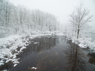 Wall Mural - Wetland near forest shore in winter