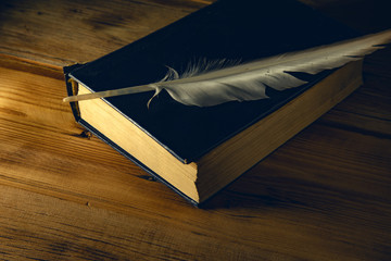 feather on book