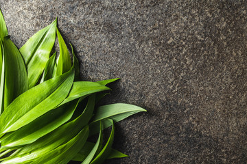 Sticker - Green wild garlic leaves.