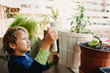 © Road Red Runner - A boy watering and spraying potted plants from his balcony gardening.