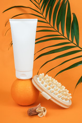 White blank cosmetic tube of cream or body lotion on orange fruit, wooden anti-cellulite massager and green branch palm. Concept fight against cellulite. Mockup Front view