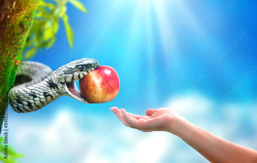 Snake in paradise giving an apple fruit to a woman - obrazy, fototapety, plakaty 