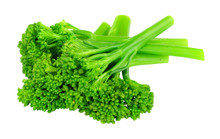 Group Of Fresh Steamed Tenderstem Broccoli Isolated On A White Background