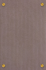 Wall Mural - golden pins frame