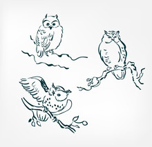 Owl Set Vector Illustration Japanese Chinese Ink Line Sketch Style