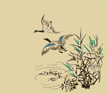 Ducks Fly Vector Card Japanese Chinese Nature Ink Illustration Engraved Sketch Traditional Textured Colorful Watercolor