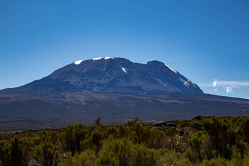 Mount Kilimanjaro. View to volcano Kibo from Shira plateau. Landscape