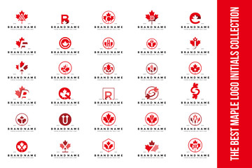 set letter maple logo design vector