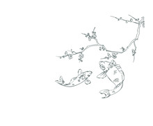 Fish Koi Carp Flowers Card Nature Landscape View Vector Sketch Illustration Japanese Chinese Oriental Line Art Design