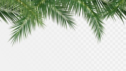 Palm branches seamless pattern, edge with tropical plants