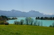 Seenlandschaft im Alpen Vorland des Allgäus mit grünen Wiesen und blauem Himmel