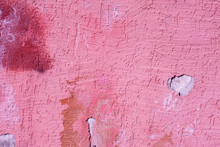 Pink Plaster Wall Texture. Pastel Background. Abstract Painted Wall Surface.