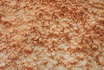 Wall Mural - Nature background of cracked dry lands. Natural texture of soil with cracks. Broken clay surface of barren dryland wasteland close-up. Full frame to terrain with arid climate. Lifeless desert on earth