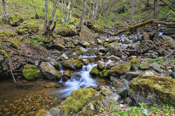 HDR landscape photography of river in wild