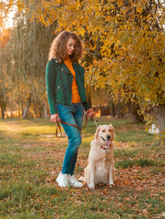 Wall Mural - Golden retriever dog with a curly woman walking outdoors on sunny day. Training the dog in the park. love and care for the pet.