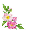 Watercolor bouquet of peony flowers, buds, leaves. Floral arrangement for cards.