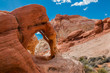 © Billy McDonald - Fire Cave Arch With The White Domes in the Distance, Valley of Fire State Park, Nevada, USA