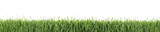 Fototapeta Na sufit - Fresh green grass on white background, banner design. Spring season