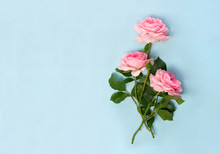 Frame Of Flowers Pink Roses On A Blue Paper Background With Space For Text. Top View, Flat Lay