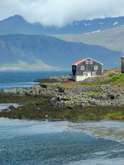 Wall Mural - Küste bei djupivogur, island