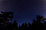 Fototapeta Na sufit - starry night sky