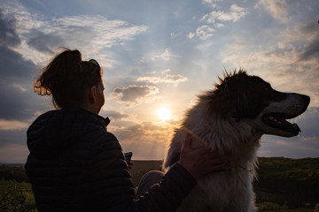 Sticker - silhouette of woman and dog head at sunset pet teraphy