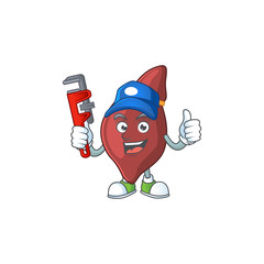 Wall Mural - Mascot design concept of liver work as smart Plumber