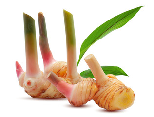 Wall Mural - Fresh galangal isolated on white background