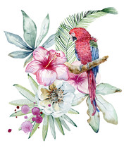 Tropical Watercolor Illustration