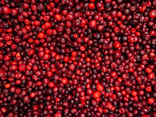 lots of ripe fruit red berries to eat like a background