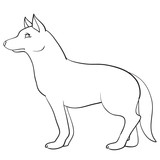 Fototapeta Psy - wolf, wild animal, stands sideways on four paws, outline drawing, coloring, isolated object on a white background, vector illustration,