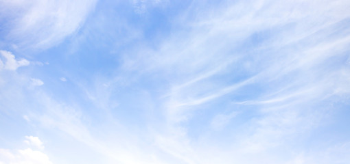 Wall Mural - panoramic blue sky background with white cloud for banner, background, wallpaper.thin white clouds f