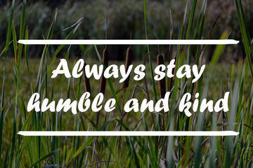 Wall Mural - Inspiration motivation quote about life, Always stay humble and kind