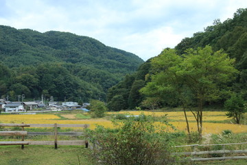 日本の原風景(長野県伊那市)