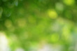© Joesunt - Spring Nature Bokeh Background Beautiful Blurred Green Leaves is a green bokeh that blurs the focus of leaves from the trees