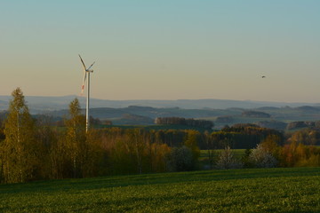 Canvas Print - Sonnenaufgang im Feld