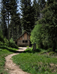 disused and derelict log cabin set back from road amongst trees.