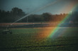 Auf dem von einem Sprinkler bewässerten Feld bildet sich ein Regenbogen