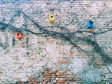 Colorful Birdhouses On Brick Wall
