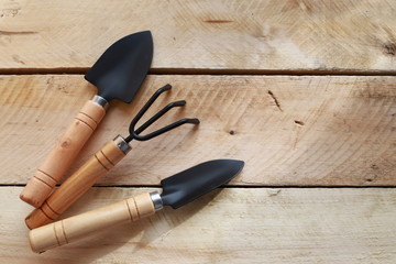 Rake and two spade on wooden background