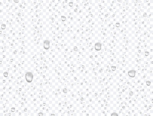 Poster - Water rain drops or steam shower isolated on transparent background. Vector pure droplets on window glass surface pattern