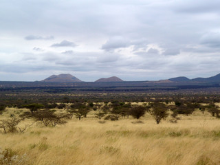 Poster - panorama della savana africana