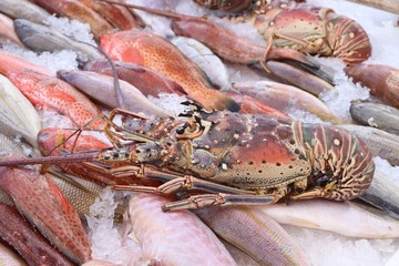 Poster - Guadeloupe langouste