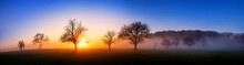 Extra Wide Sunset Panorama, A Minimalistic Beautiful Landscape With A Few Bare Trees And Wafts Of Mist, Deep Blue Sky And Vibrant Colors Of The Sun