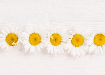 Wall Mural - Fresh white chamomile daisy flower pattern on white wooden background