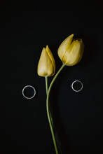 Two Yellow Tulips With Wedding Rings On Black Background