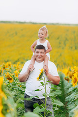 Wall Mural - Daddy's carrying a baby daughter on his shoulders in the field of sunflowers. The concept of summer holiday. Father's, baby's day. Spending time together. Family look.