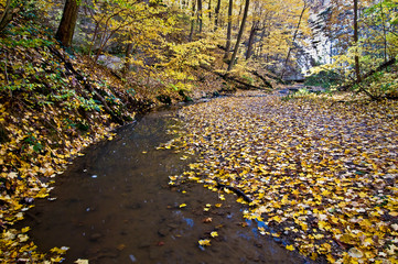 Wall Mural - Fallen autumn leaves blanket the banks of a stream flowing through a sandstone canyon.