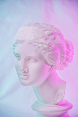 Wall Mural - Statue of Venus de Milo. Creative concept colorful neon image with ancient greek sculpture Venus or Aphrodite head. Webpunk, vaporwave and surreal art style. Pink and blue duotone effects.