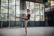 © Carla Aymat/ADDICTIVE STOCK - Full body of slim graceful female dancer looking at camera in black bodysuit and pointe shoes performing dance with transparent light tulle during rehearsal in studio